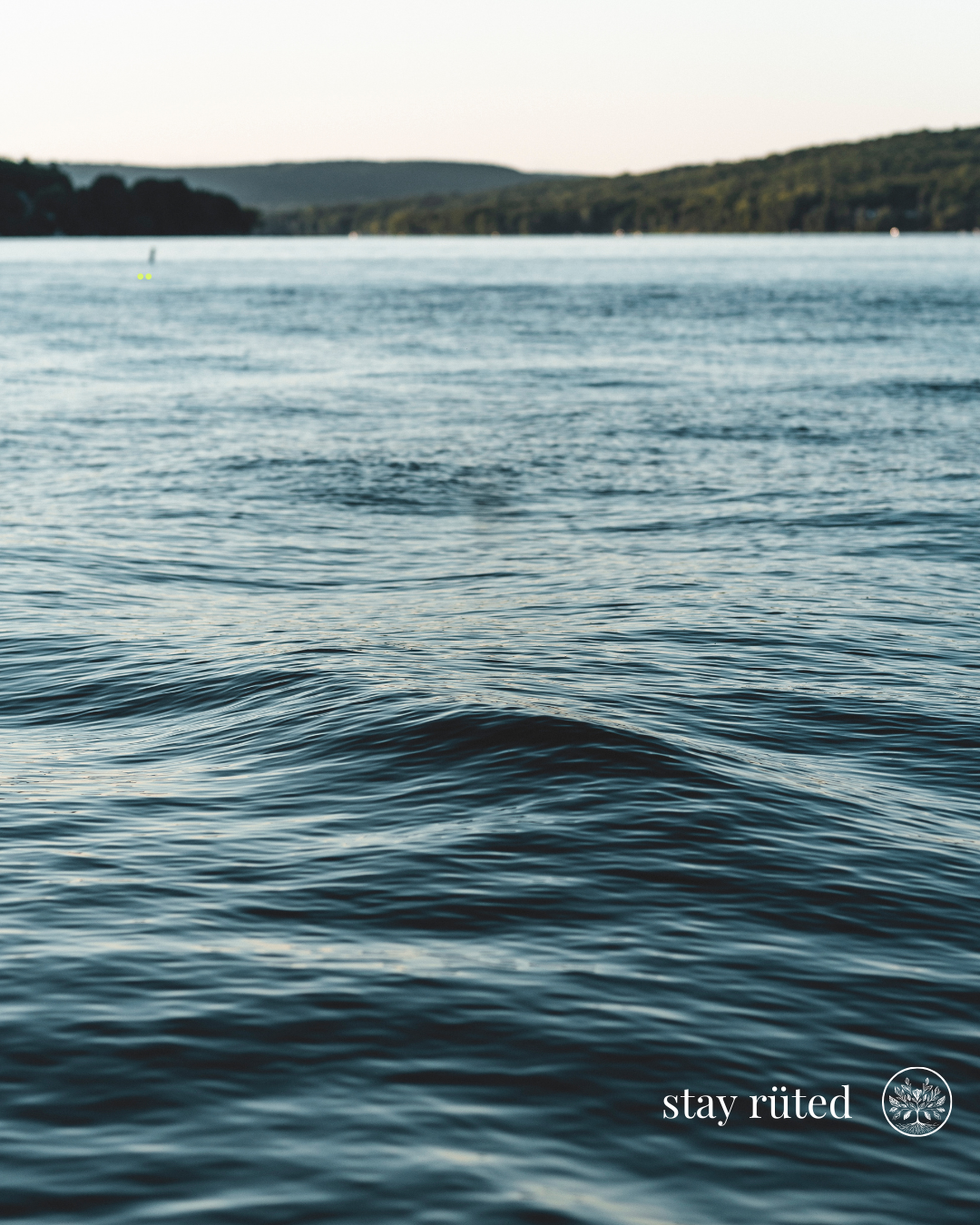 Why We Chose To Blend Creatine AND Collagen Together 🔥