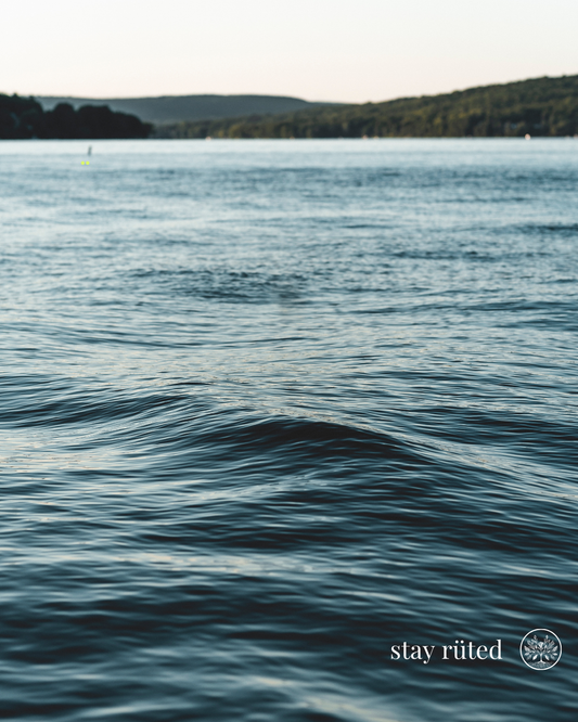 Why We Chose To Blend Creatine AND Collagen Together 🔥